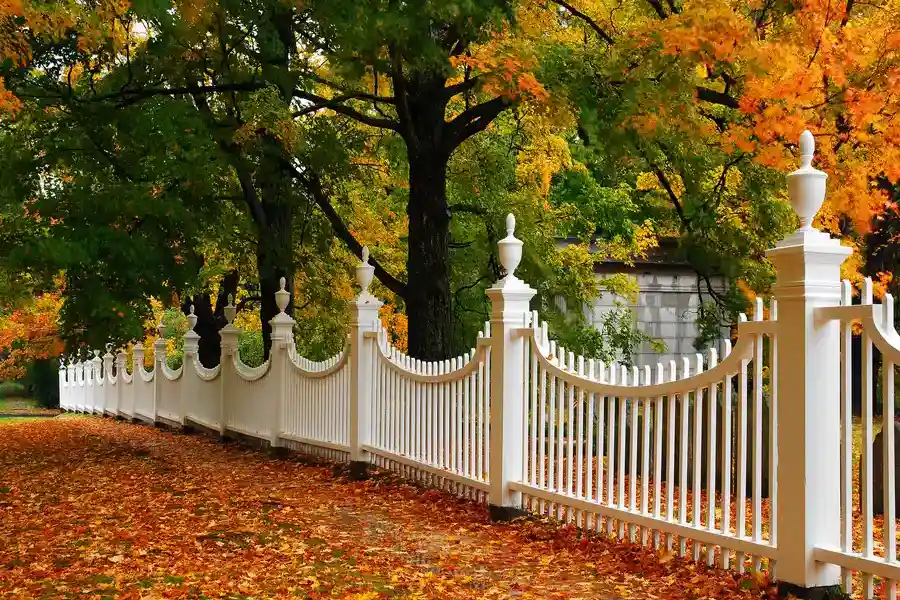 Benefits Of Wood Fence Installation With Concrete Posts Wills Point, TX